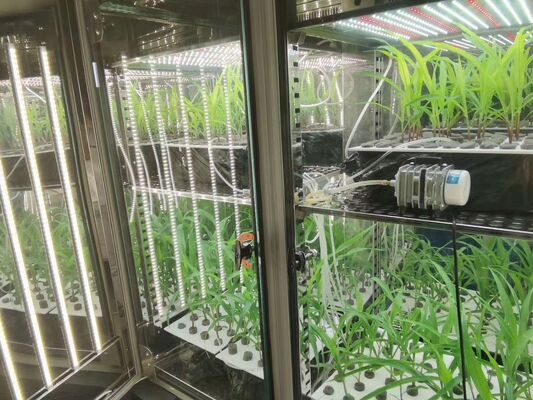 اتاق رشد گیاهان لیی آب و هوای مصنوعی ماشین جوانه گذاری بذر جعبه رشد گیاهان کباب